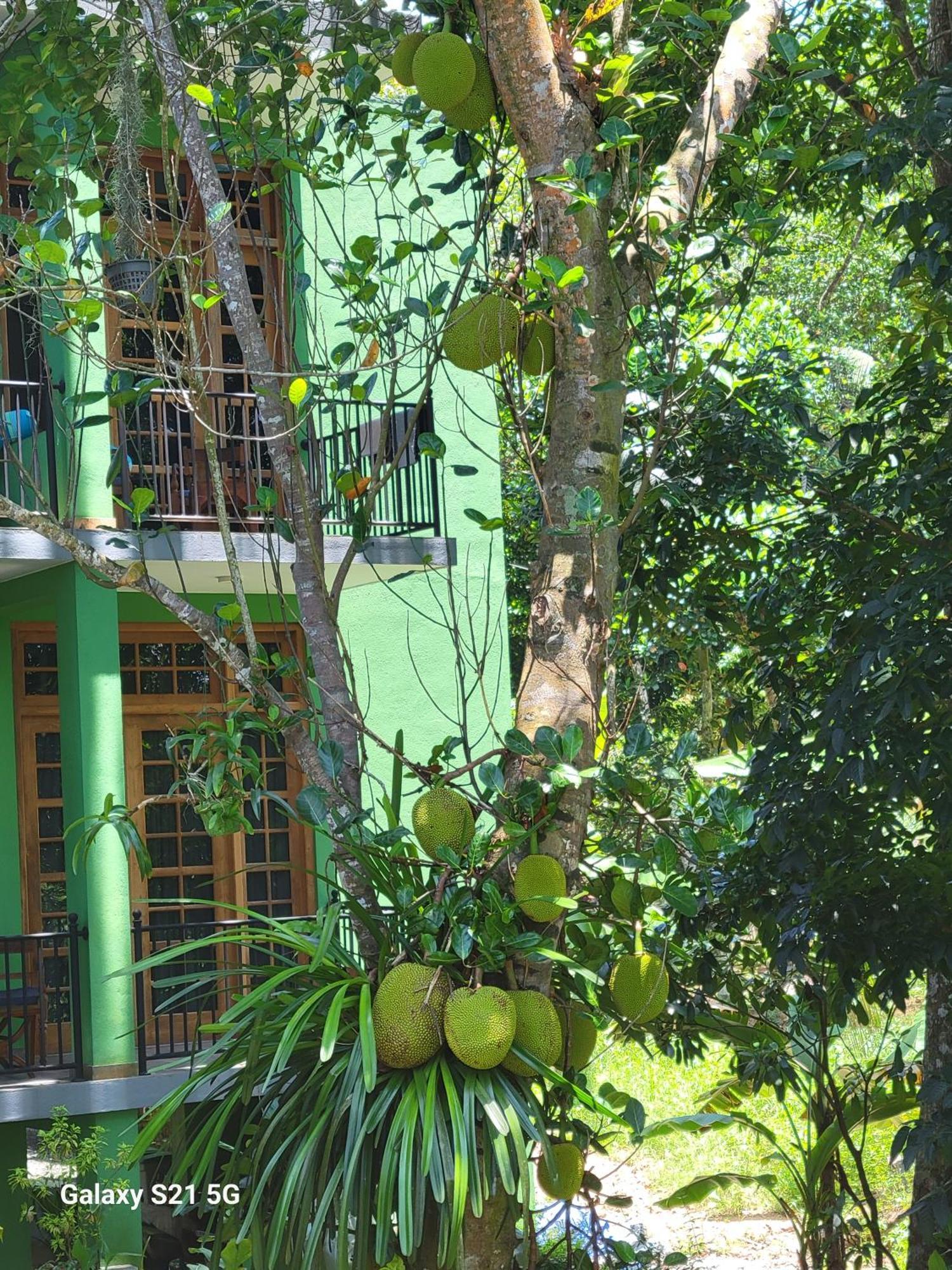 Barefoot Bungalow Hikka 希克杜沃 外观 照片