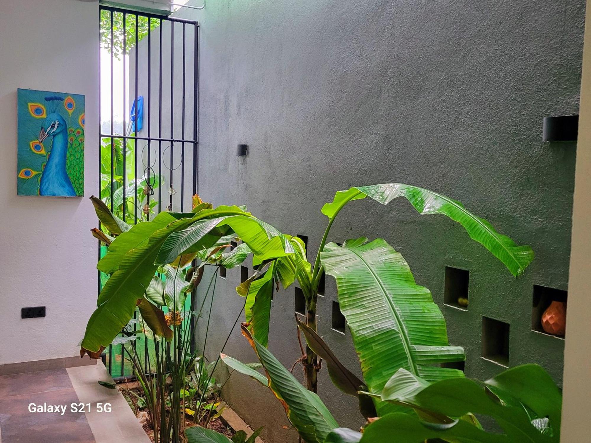 Barefoot Bungalow Hikka 希克杜沃 外观 照片